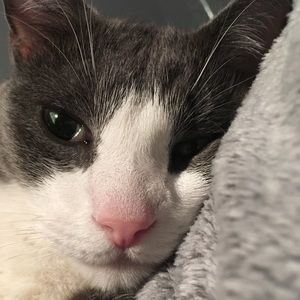 Meet your Posher, Serena